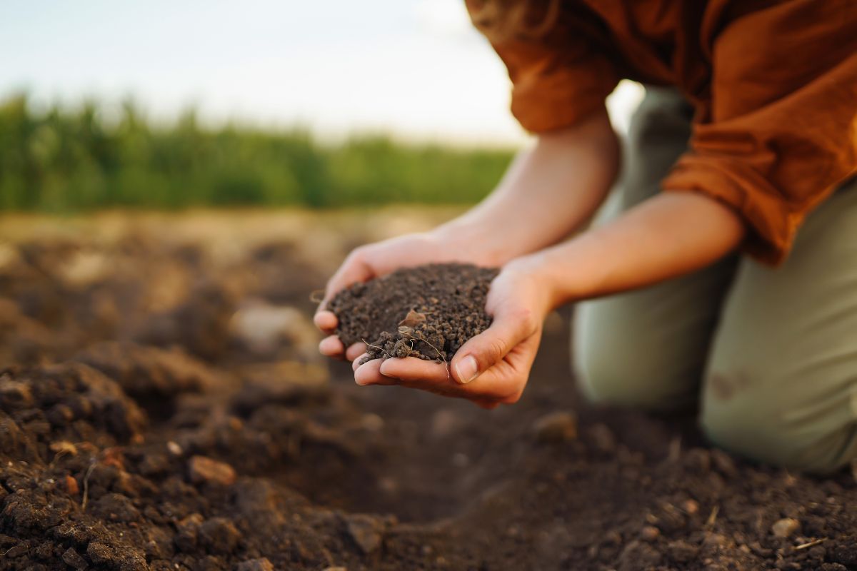 Govardhan Organic Fertilizer Scheme