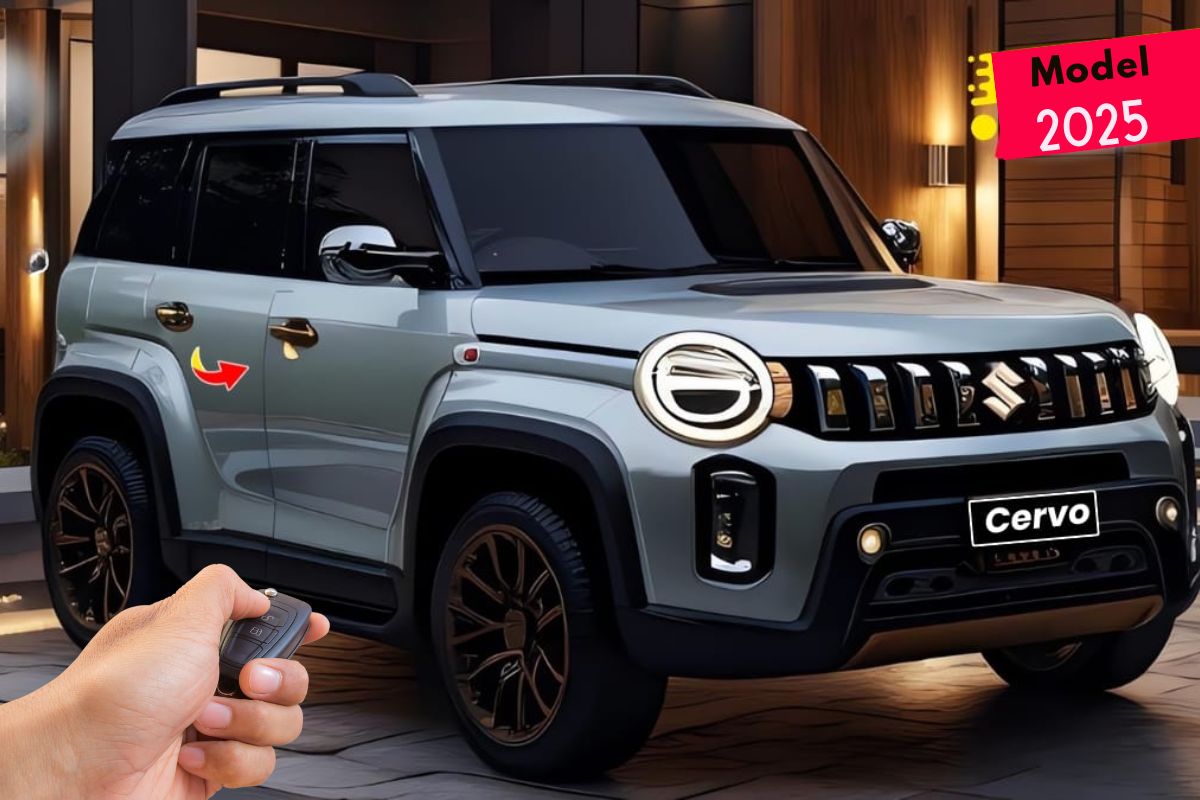 Maruti Cervo