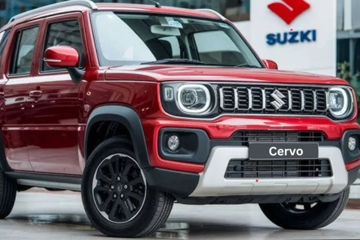 Maruti Cervo